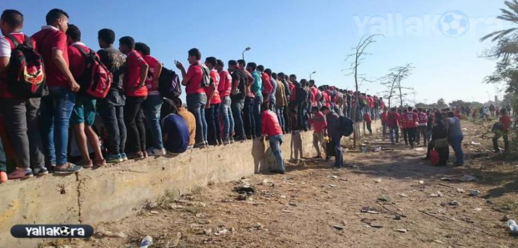 جمهور الاهلى جمهور الاهلى